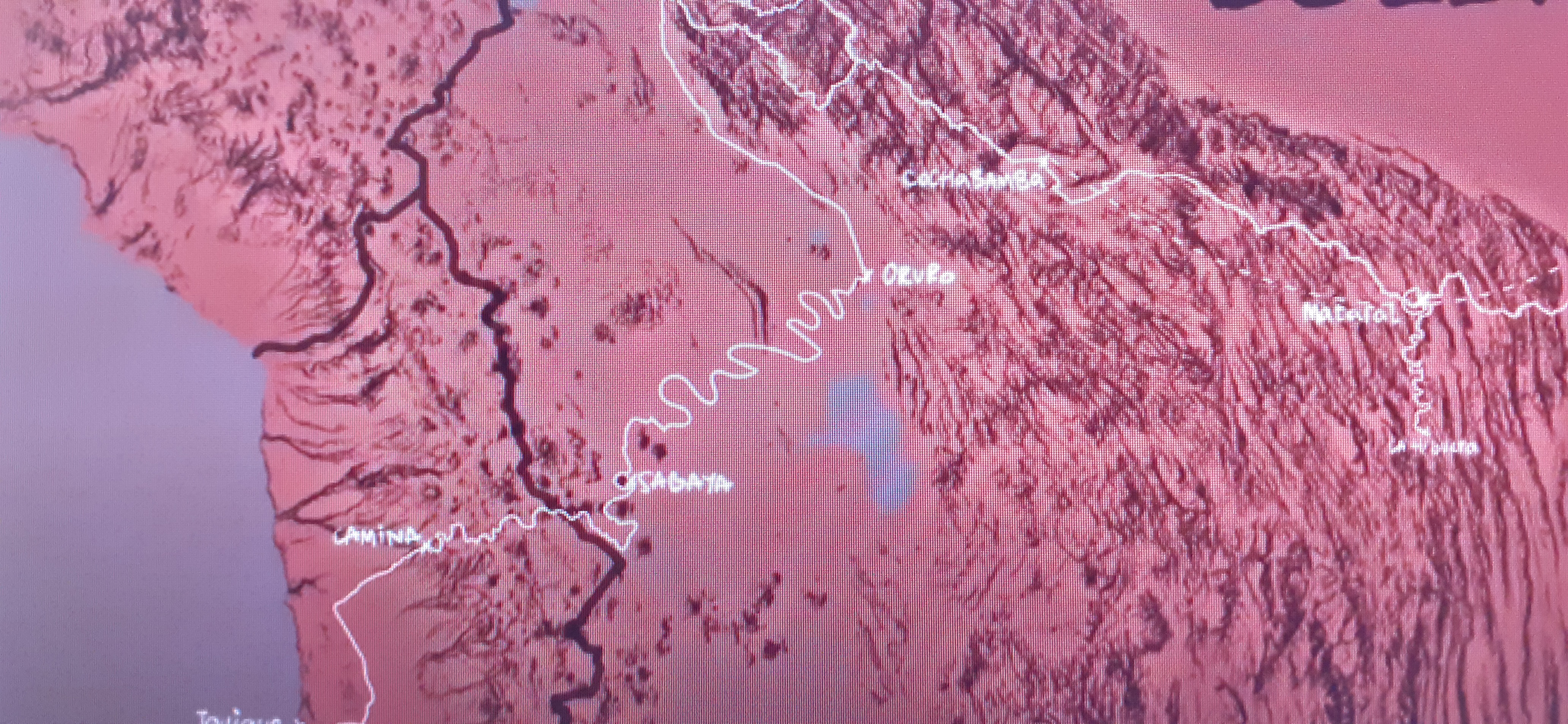 Map of the survivor's journey