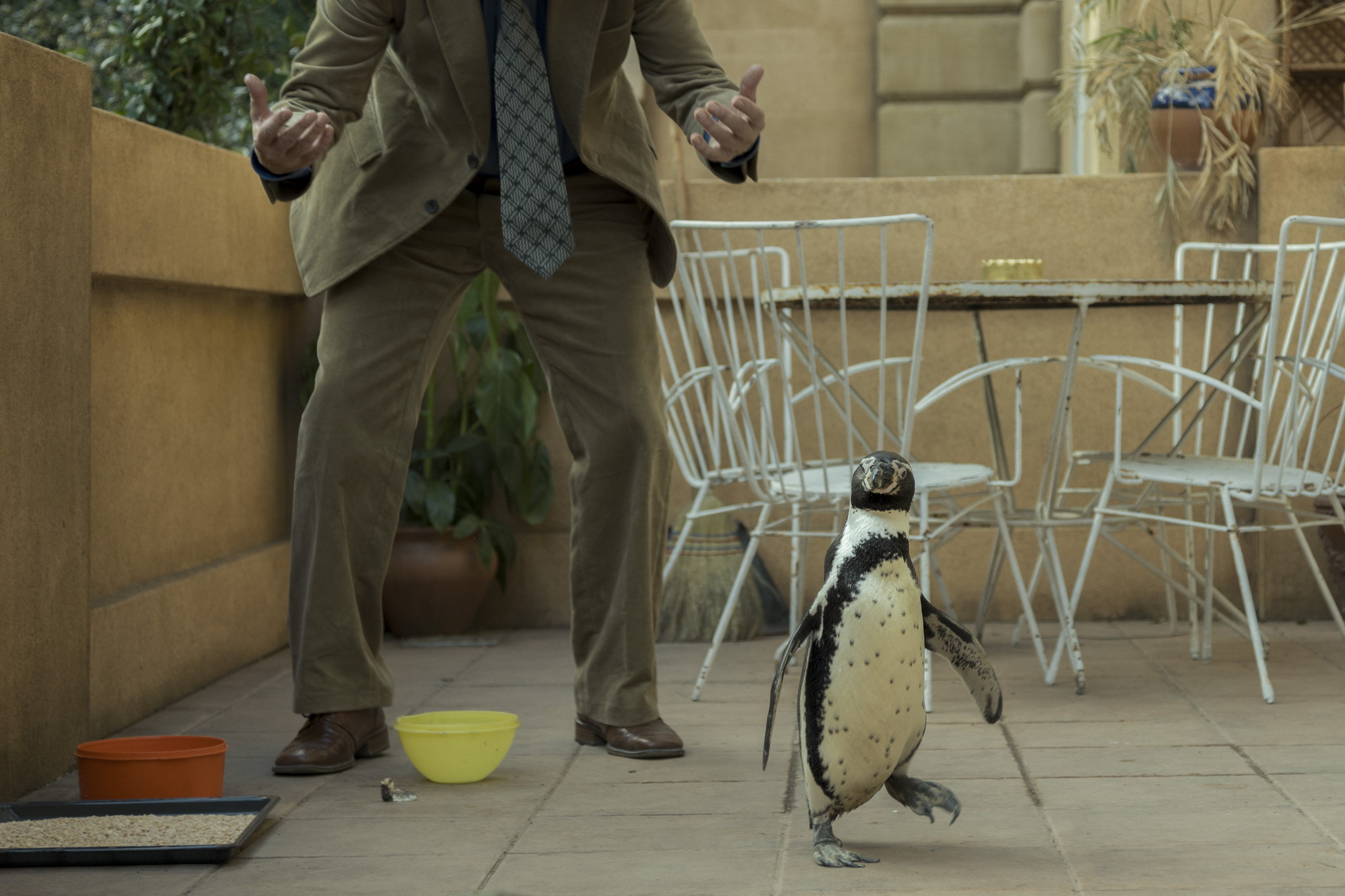 Steve Coogan  with Juan Salvador  1