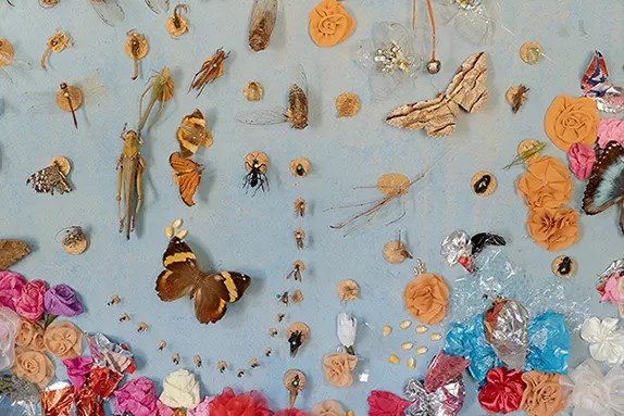 Kaylane's wall