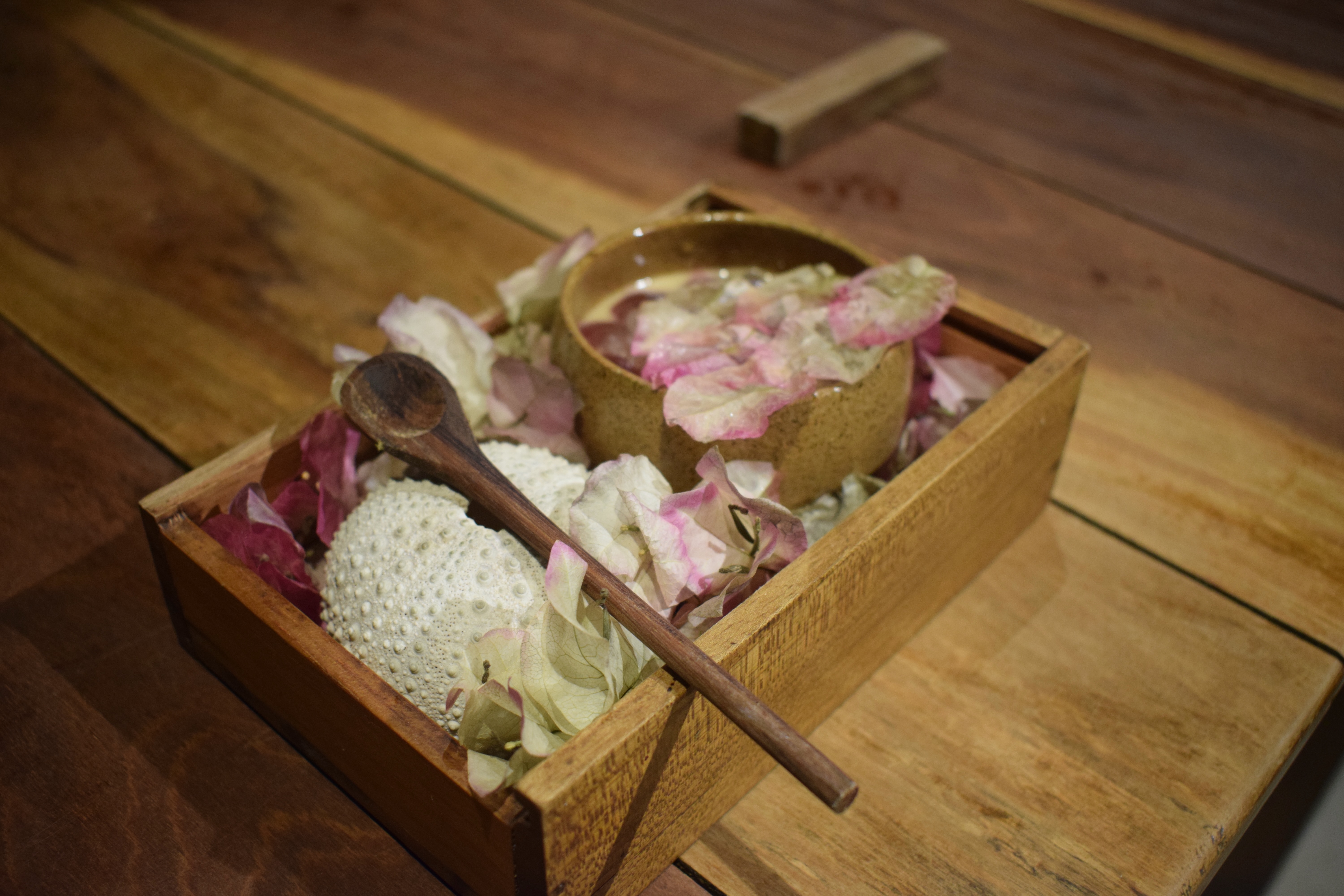 Chawanmushi – a savoury Japanese custard – served with mangrove crab and topped with pink bougainvillea petals