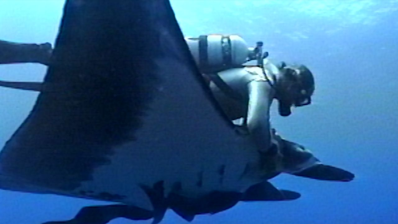 The Last Dive 2025 5