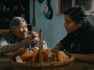 Daughters of the Forest