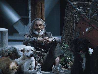 Amores Perros 2000
