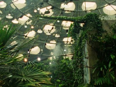 Tropical Fractals 2026- 