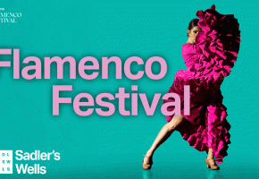 flamenco