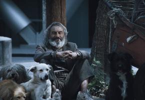 Amores Perros 2000