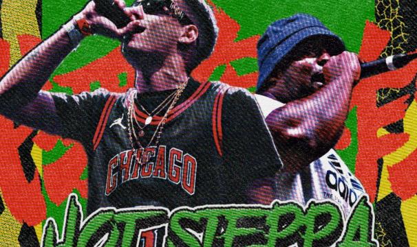 hotsteppa album cover