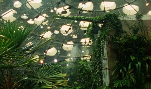 Tropical Fractals 2026- 