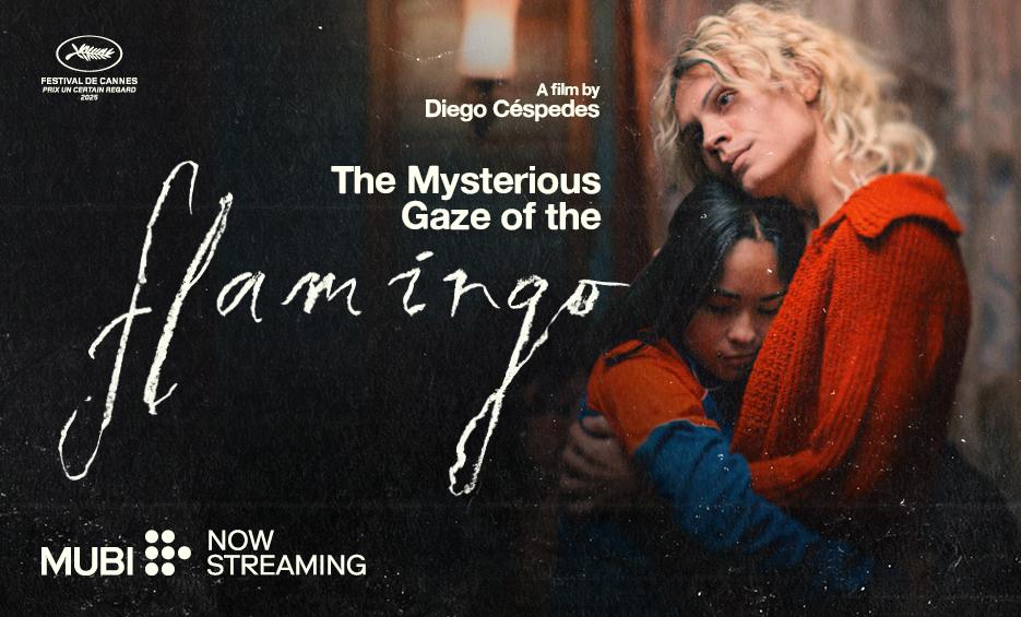 flamingo